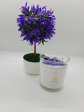 Load image into Gallery viewer, Sweet Slumber (Sleep Support)